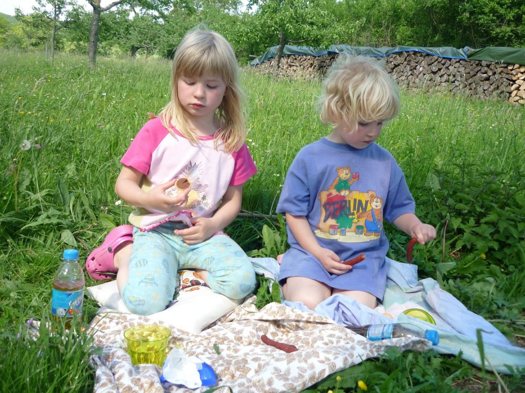 Meriendas de picnic: Cómo hacer una merienda al aire libre con niños