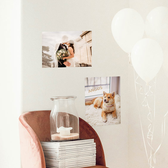 Dos fotoadhesivos Stikets pegados en una pared lisa blanca, uno de una boda y otro de un perro con su nombre