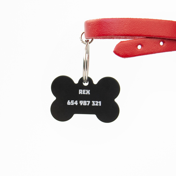 Chapa personalizada negra en forma de hueso con el nombre Rex y un número de teléfono, colgada de un collar rojo