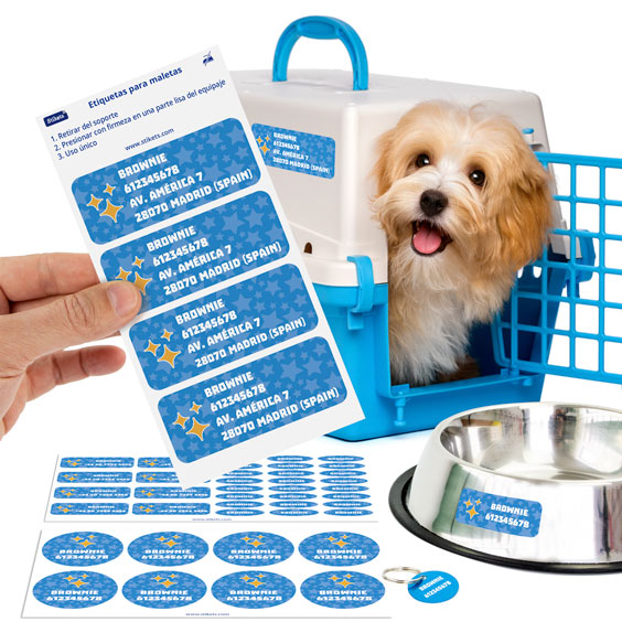 Pack para mascotas personalizado con etiquetas para maletas y etiquetas adhesivas junto a un perro dentro de su transportín